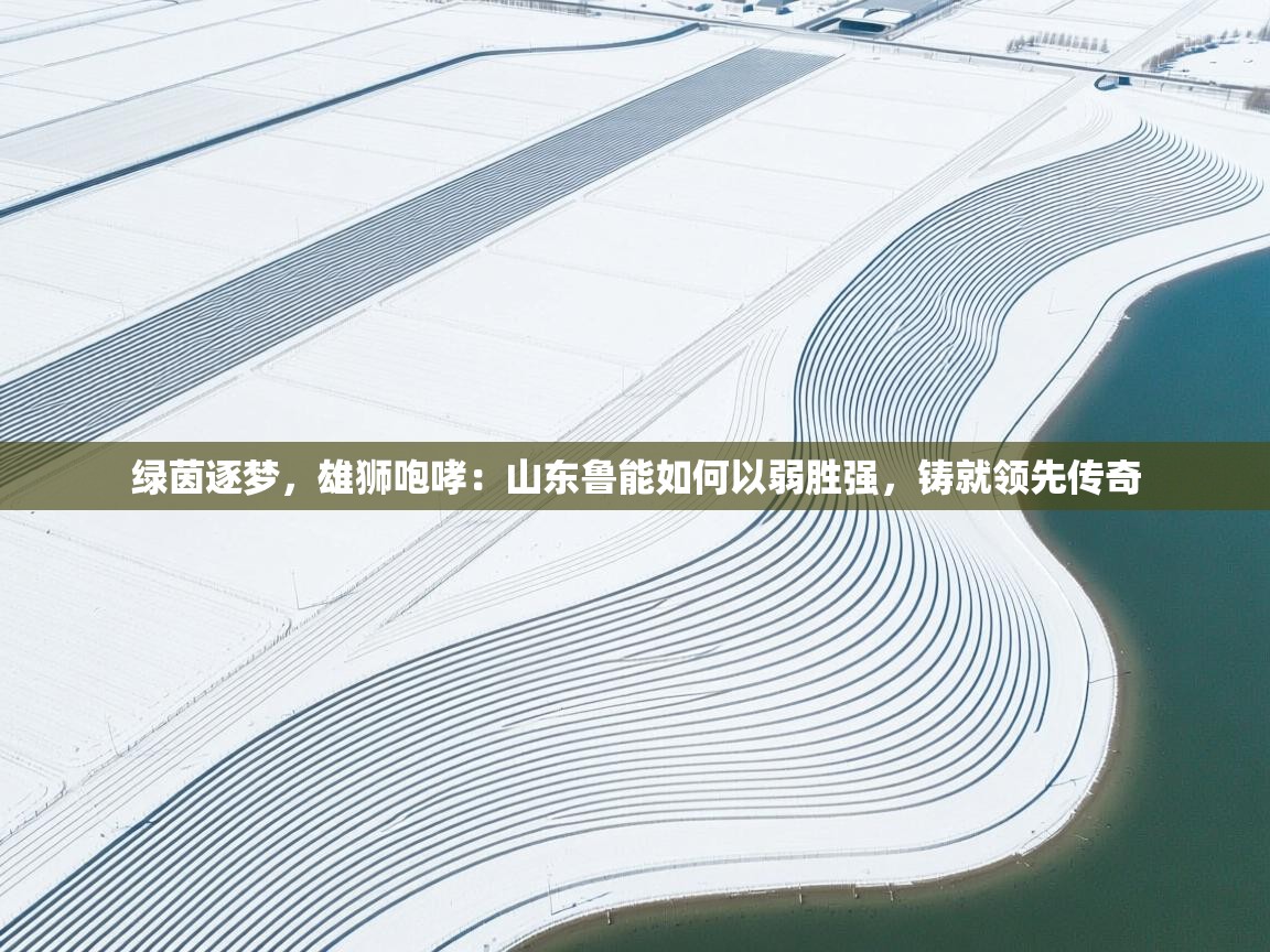 绿茵逐梦,雄狮咆哮:山东鲁能如何以弱胜强,铸就领先传奇 第1张