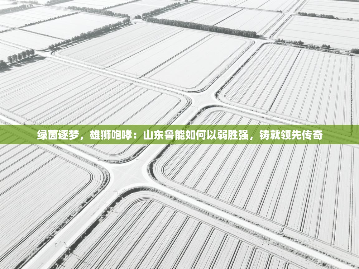 绿茵逐梦,雄狮咆哮:山东鲁能如何以弱胜强,铸就领先传奇 第2张